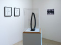 Carol Rama: Installation view  (chapter Tyres)